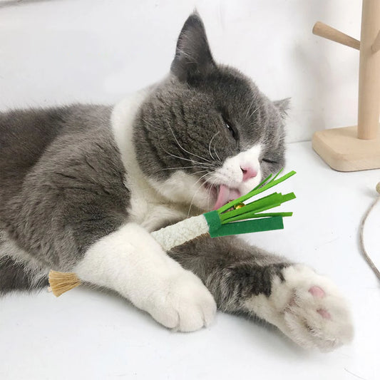 Sc5a3648a24e24968bc20441884c686b3l