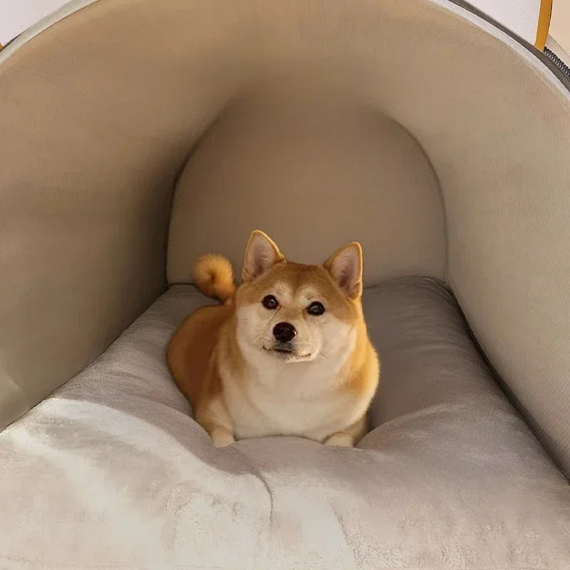 Sc8200856d41a4c489ec086556f0405eeE