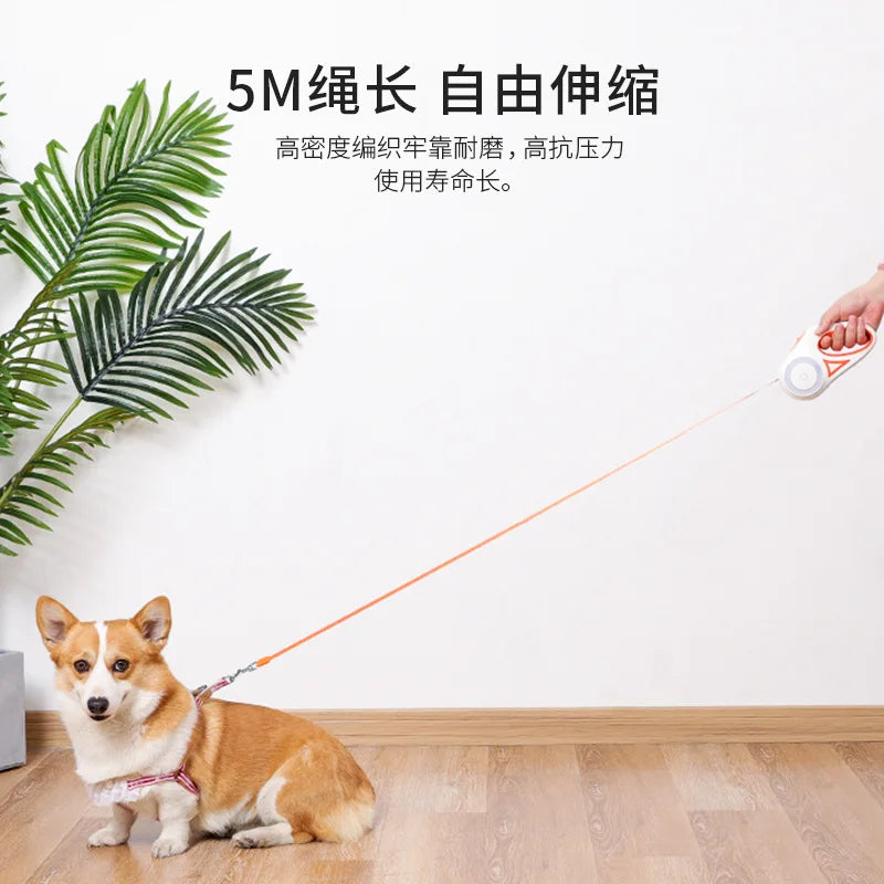 Scb1e2983d91e40d9b87c8a28cf44681dp