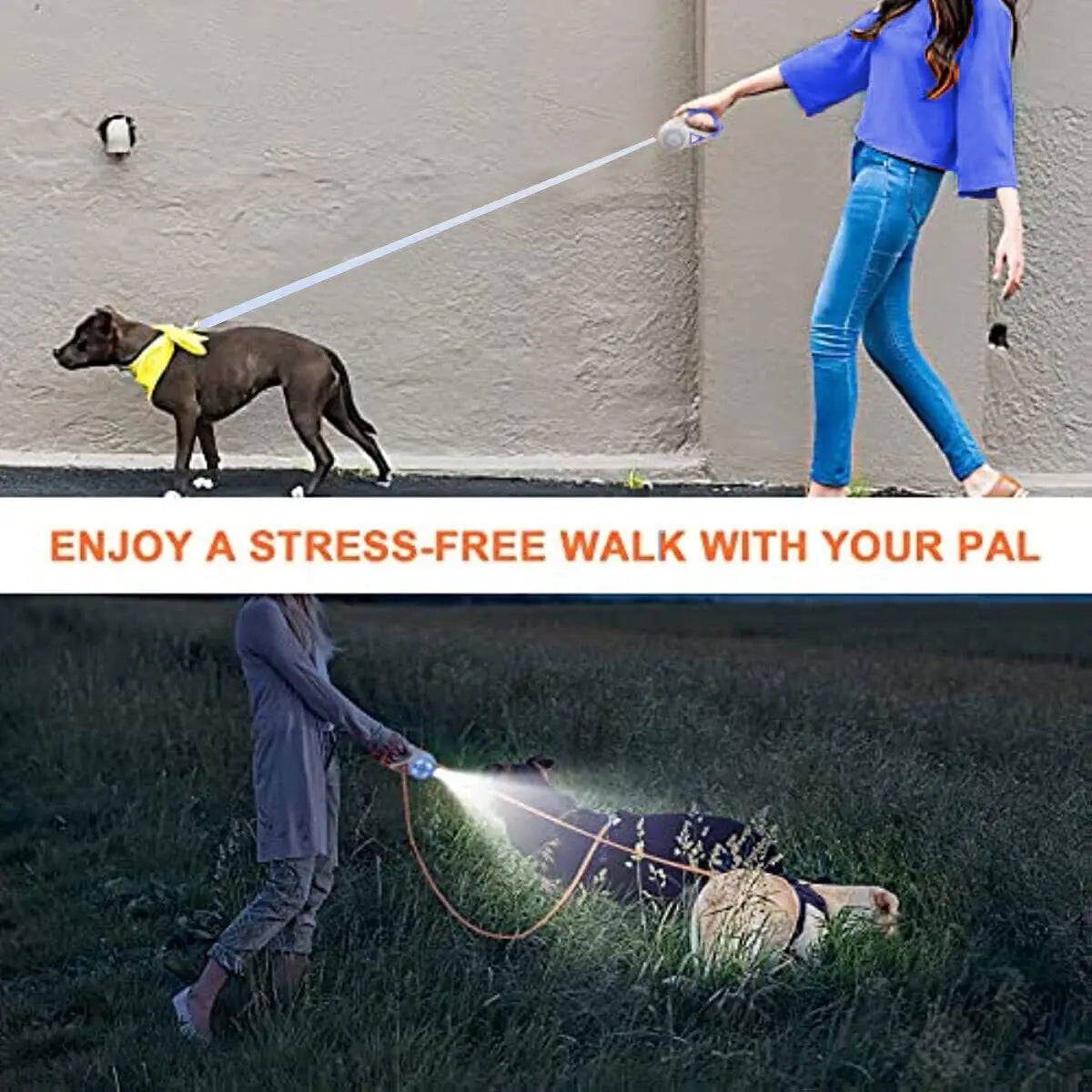 Sd62a2022165449f9a7333e2901474edei