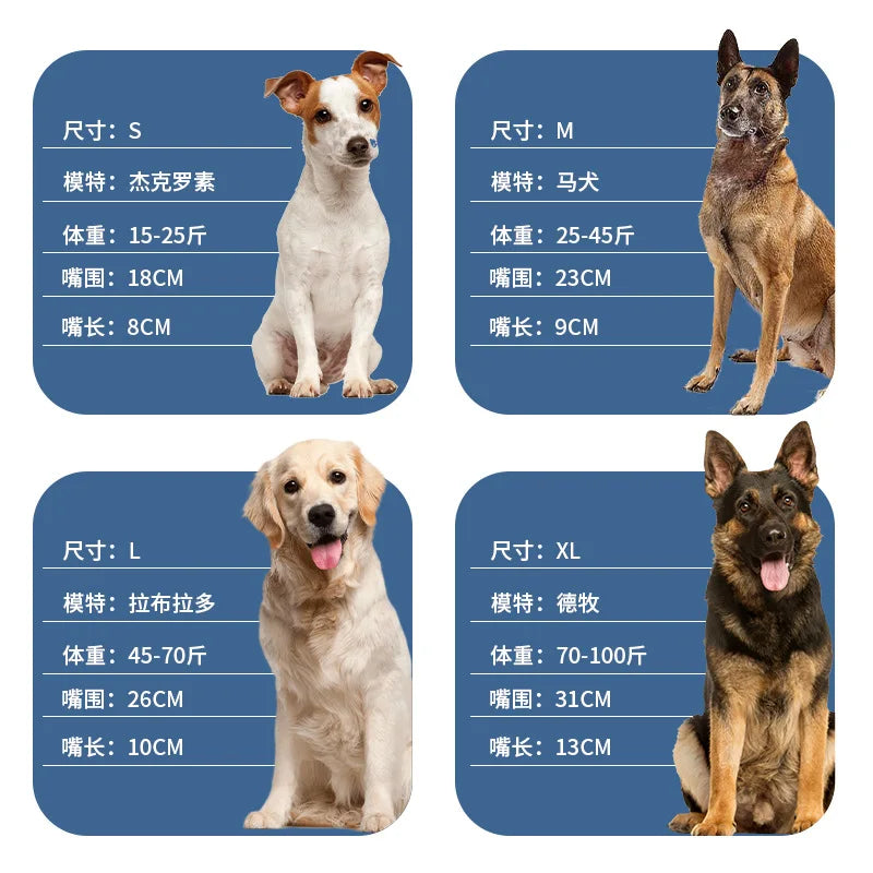 Sd65aa951a7574b32838d5d20d7153ef3Y