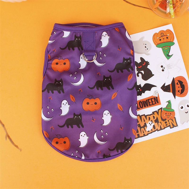 Sd6cdd4637a6e43ad9ff6c3f8fe1ccae4g