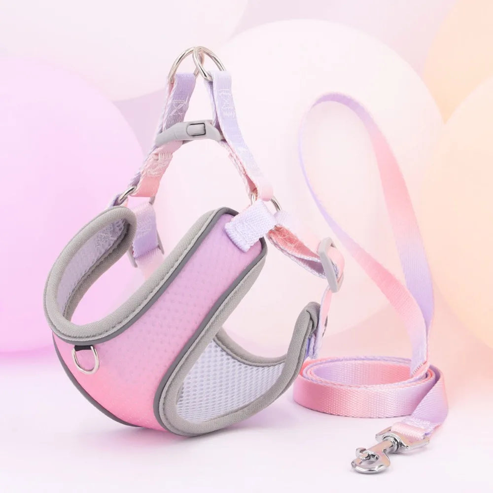 Sddd6e34b77694eb5804a93ea570e999bL