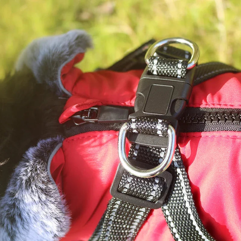 Se0779f60d4674137a038b2335b58d2e6l