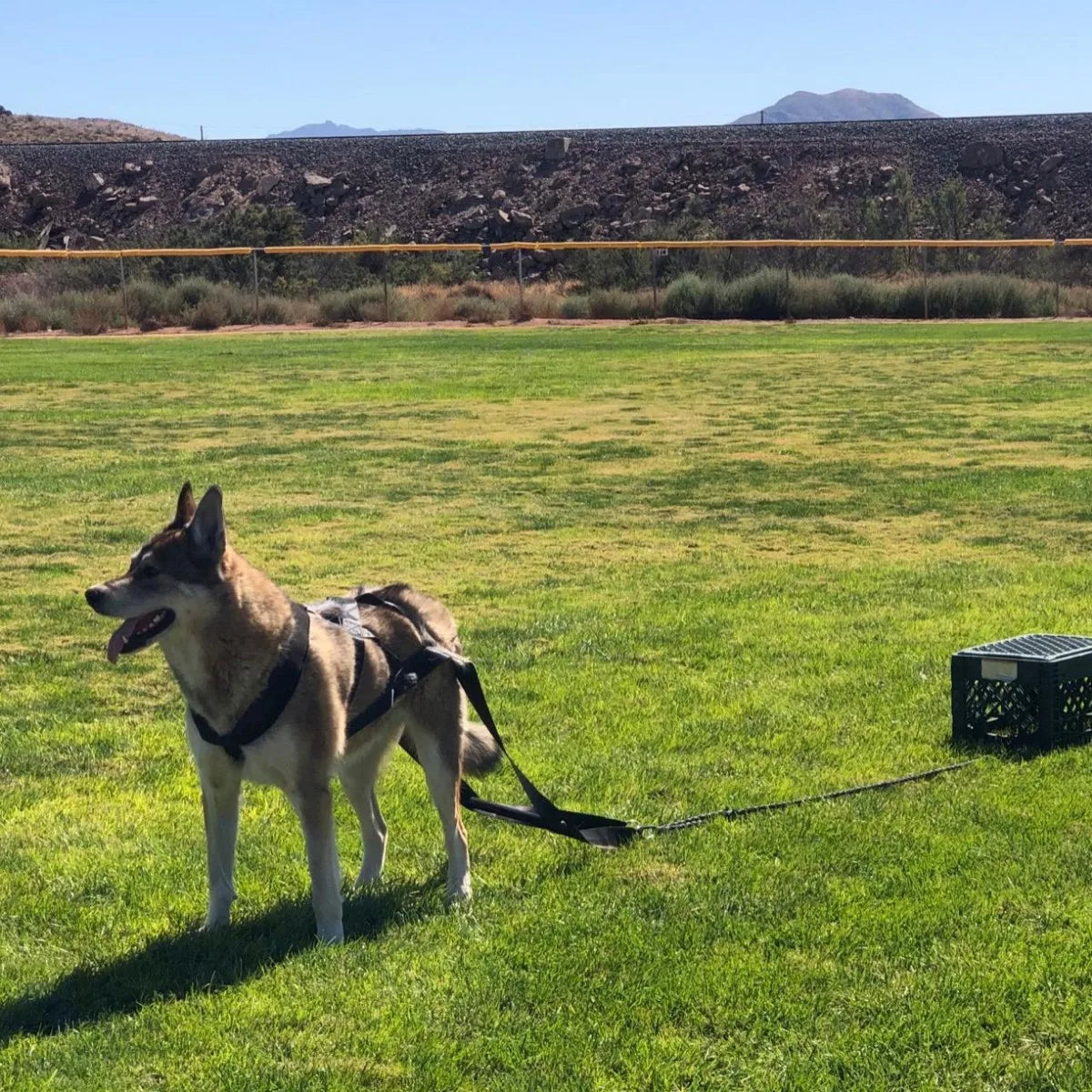 Se20b0b476b564ca4a3c726dc46ffff5an