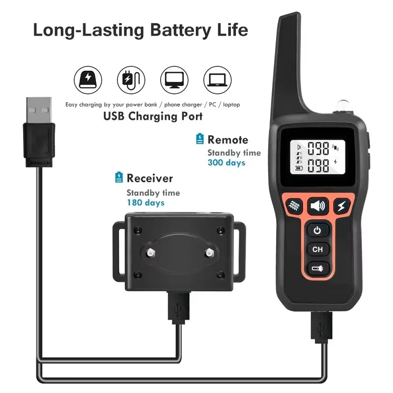 Sf8d6b63b0242498e9f187d139604118av