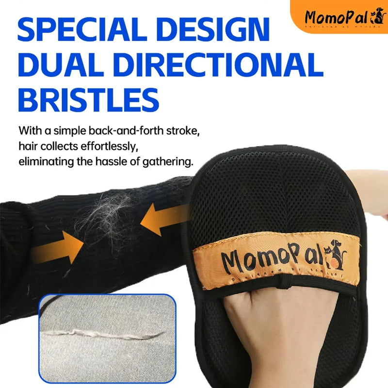 Sfcc0becf8fe8431c94907a34e5ce8fc4B